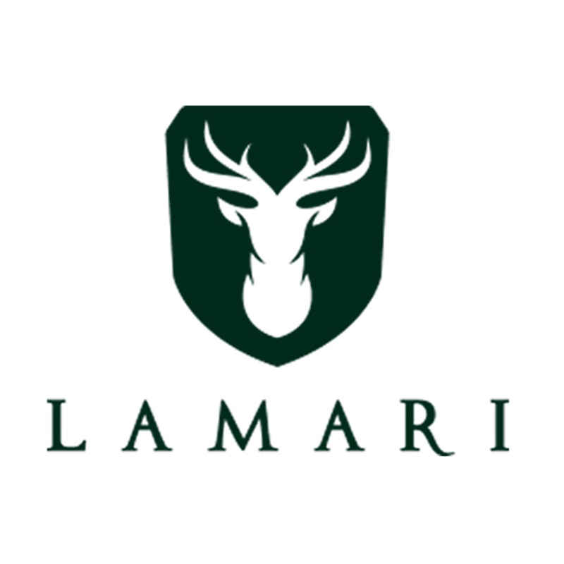 فیلتر هوا LAMARI