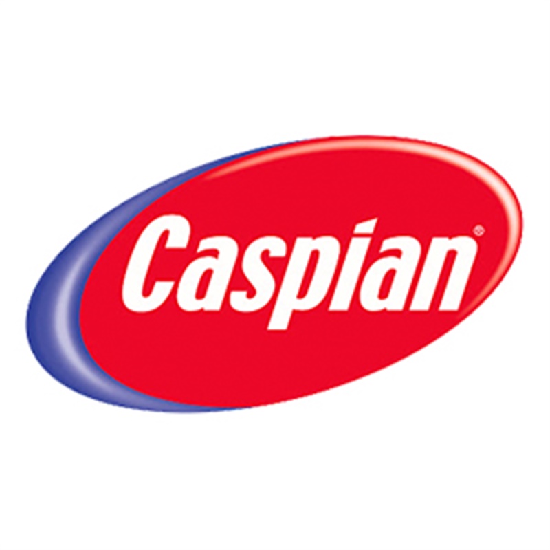 اسپری پولیش داشبورد کاسپین Caspian رایحه سیب